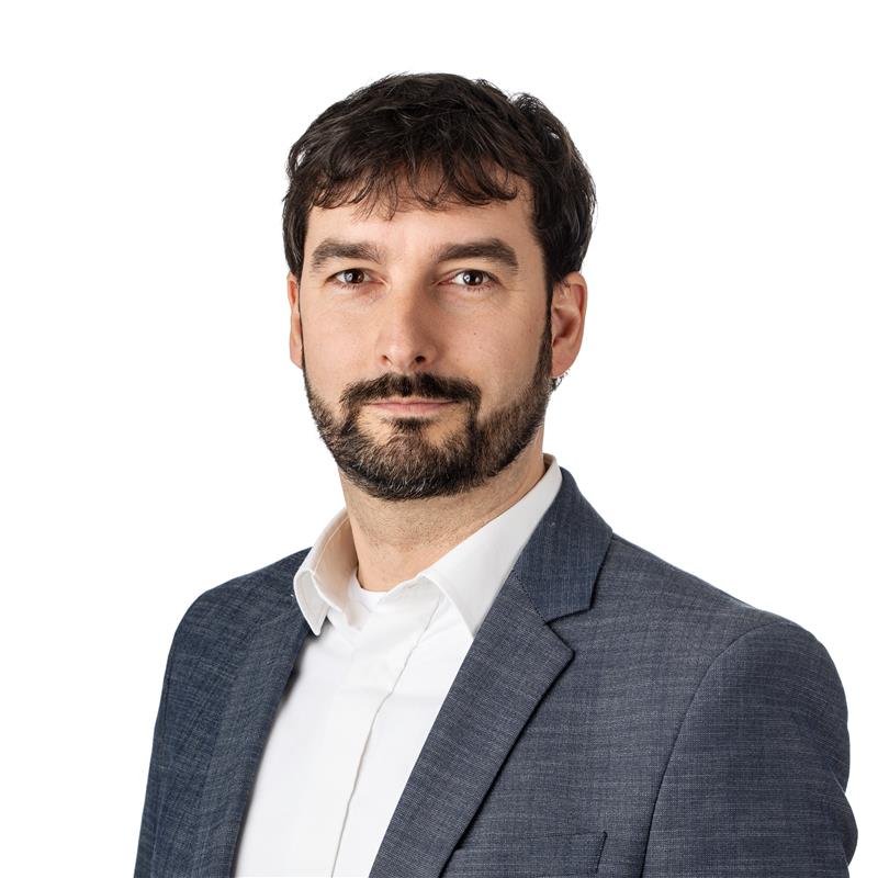 David Polák